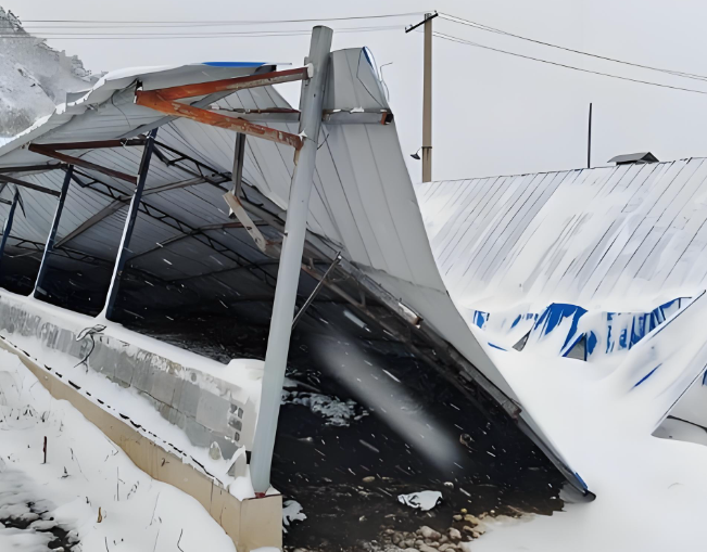 202511129775231c3426ba42299ed49c0da9b8d9.png 202511129775231c3426ba42299ed49c0da9b8d9.png